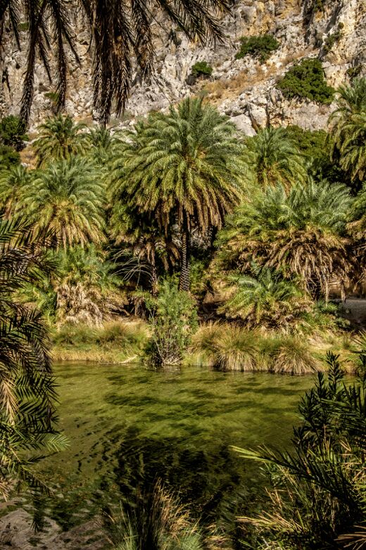 From Rethymno: Exotic Preveli Palms, Damnioni & Plakia Beach - Return to Damnoni Beach and Additional Leisure Time