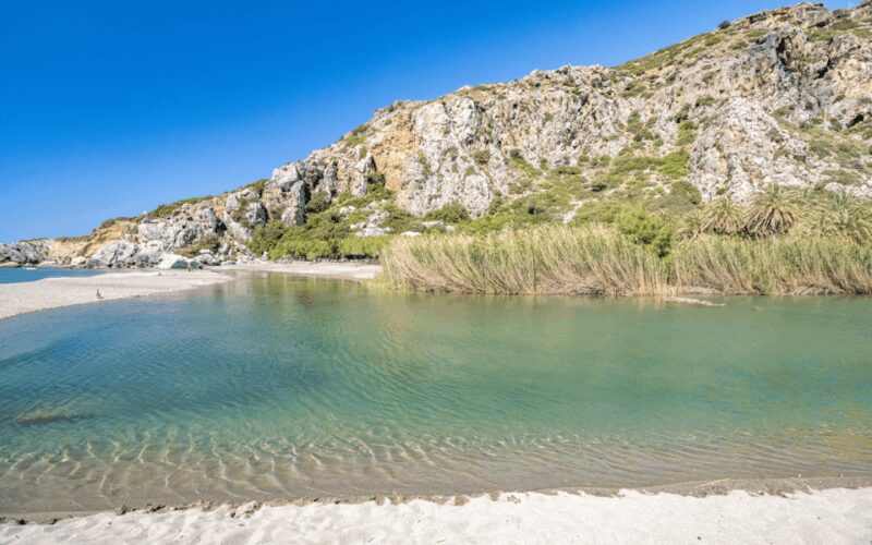 From Rethymno: Exotic Preveli Palms, Damnioni & Plakia Beach - Kotsifou Gorge and Scenic Drive Back