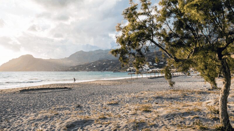 From Rethymno: Exotic Preveli Palms, Damnioni & Plakia Beach - Practical Information and What’s Included