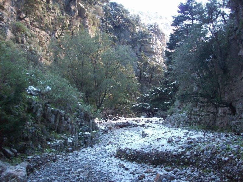 From Rethymno: Imbros Gorge & Libyan Guided Sea Tour - Swimming in the Libyan Sea at a South Coast Beach