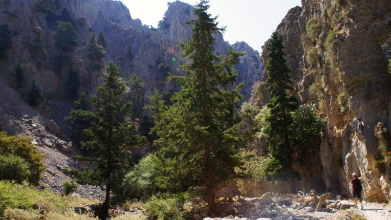 From Rethymno: Imbros Gorge & Libyan Guided Sea Tour - Practical Details: Transportation, Guides, and Accessibility