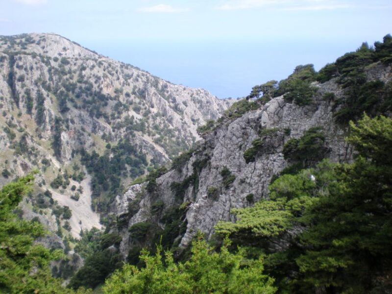 From Rethymno: Imbros Gorge & Libyan Guided Sea Tour - Timing, Pacing, and Tour Length