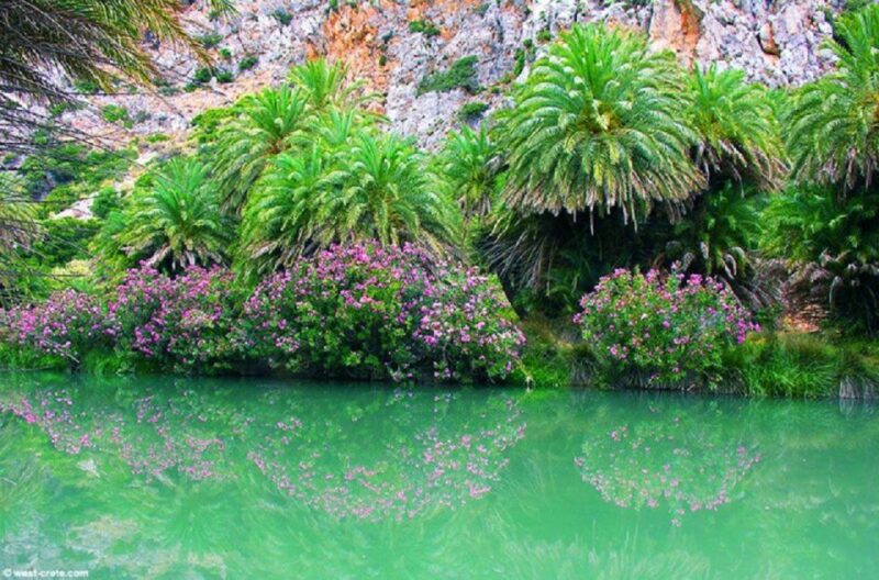From Rethymno: Preveli Palm Beach and Kourtaliotiko Day Trip - Scenic Drive through the Mountains