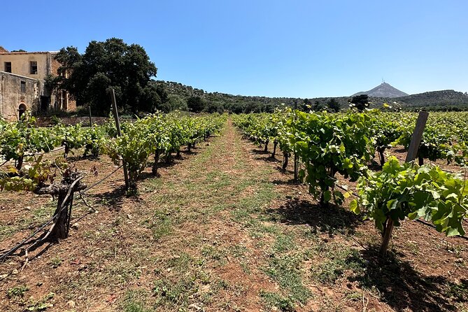 From Rethymno Private Tour: Chania-Holy Trinity-Olive oil factory - Cost and Additional Expenses