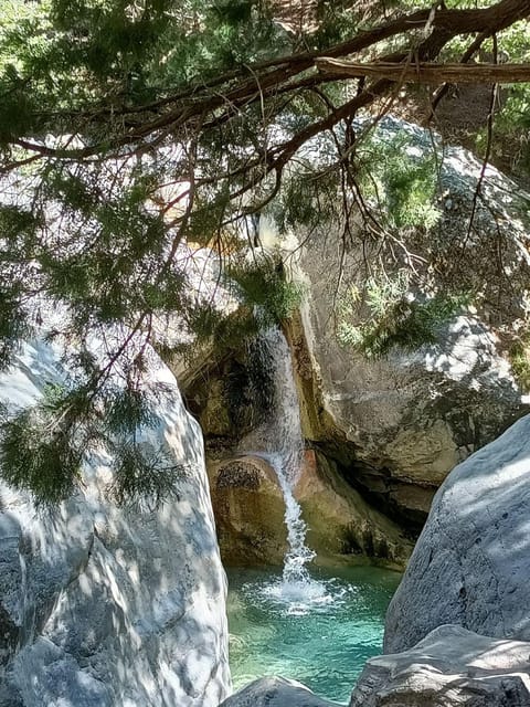 From Rethymno: Samaria gorge with Professional Hiking Guide - The Guide and Support During the Tour