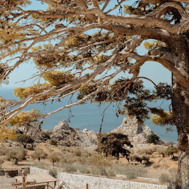 From Rethymno: South Crete Highlights Day Tour - The Guide and Group Experience