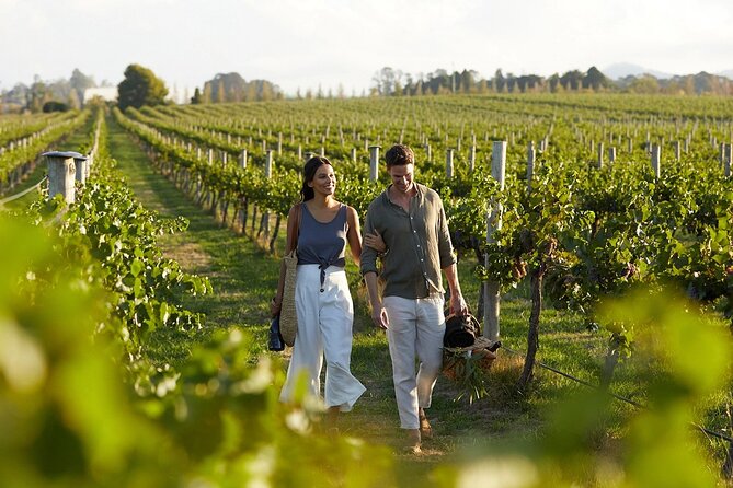 From Rethymno Visit of Knossos & Winery with tastings & Lunch - Wine Tasting at Titakis Wines: A Taste of Crete’s Indigenous Varieties