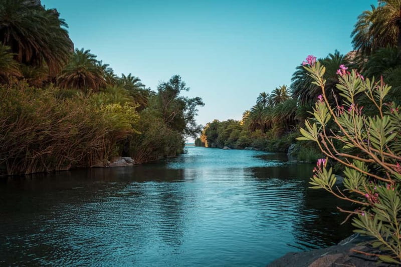 From Rethymnon Area: Private Trip to Preveli & Kourtaliotiko - Return Journey through Kotsifou Gorge