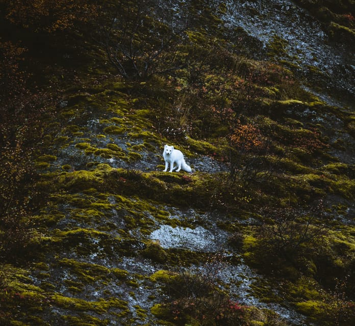 From REYKJAVIK: 4x4 Private Volcanic Way to Þórsmörk Valley - Learning About Þórsmörk’s Natural and Cultural Significance