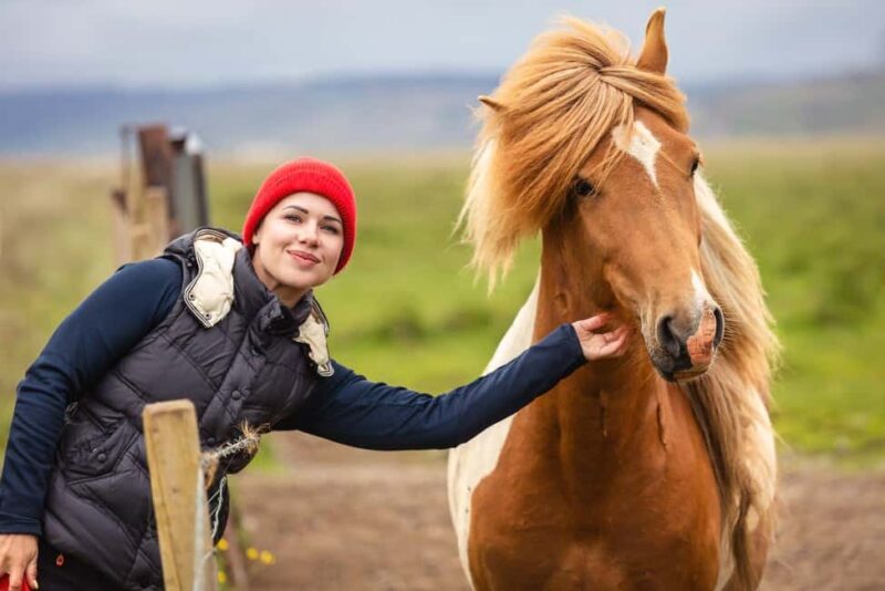 From Reykjavík: Best of Iceland 6-Day Stopover Tour - Reykjavík’s City Charm and Central Accommodation