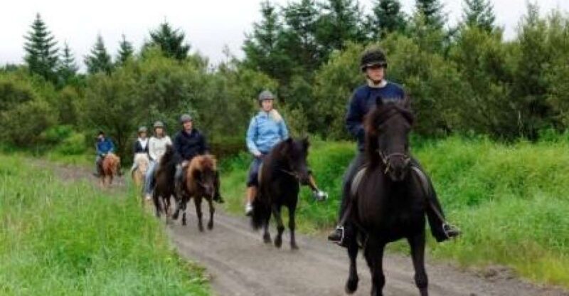 From Reykjavik: Full-Day Horse Riding & Golden Circle Tour - Key Points