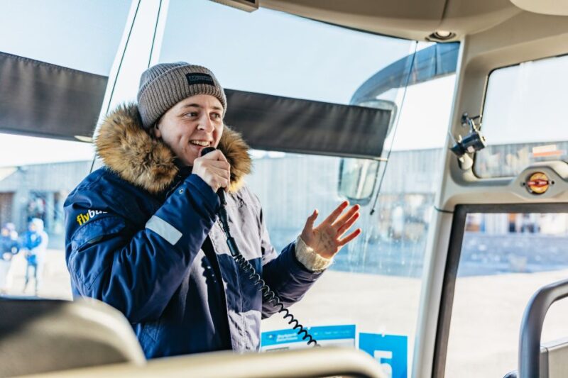 From Reykjavik: Golden Circle and Glacier Snowmobiling - Value and Overall Experience