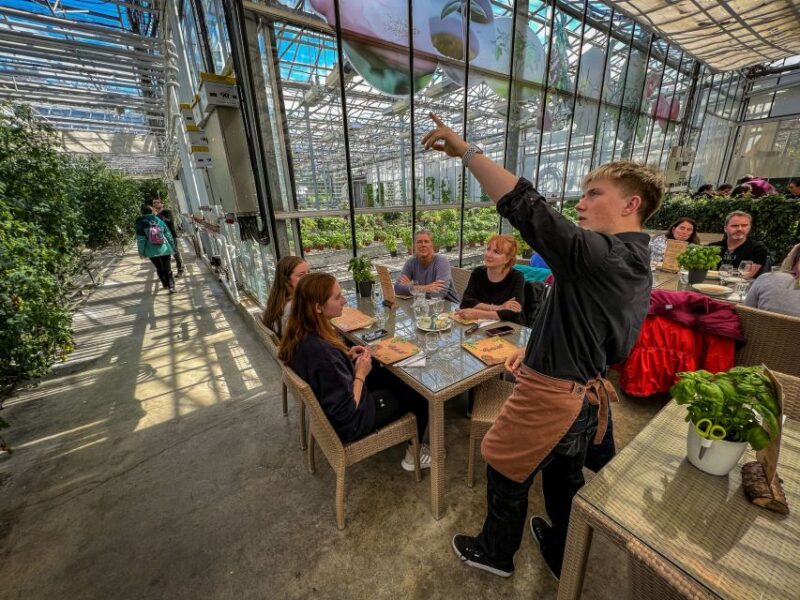 From Reykjavik: Golden Circle, Friðheimar, & Sky Lagoon Tour - Lunch at Friðheimar Tomato Farm: A Unique Culinary Experience