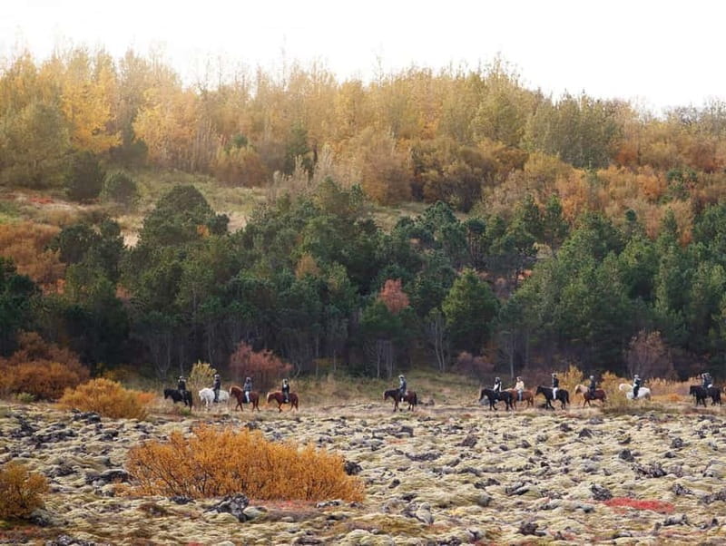 From Reykjavík: Icelandic Horse Riding Tour in Lava Fields - The Guides: Friendly, Knowledgeable, and Attentive