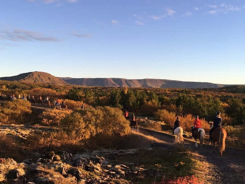 From Reykjavík: Icelandic Horse Riding Tour in Lava Fields - Equipment and Safety Gear: All You Need