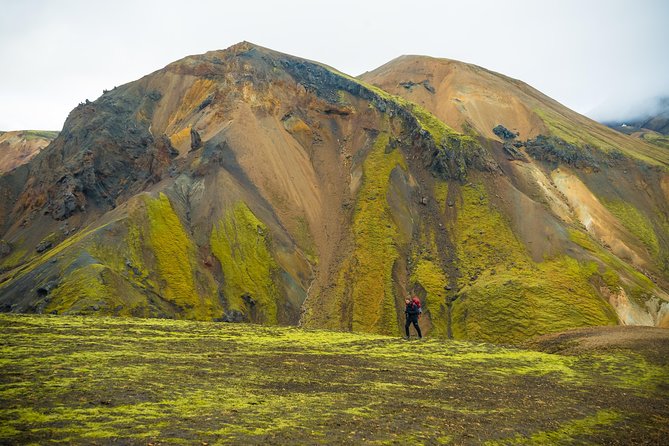 From Reykjavík: Landmannalaugar Hiking Day Tour - Logistics: Transport, Meeting Points, and Group Size