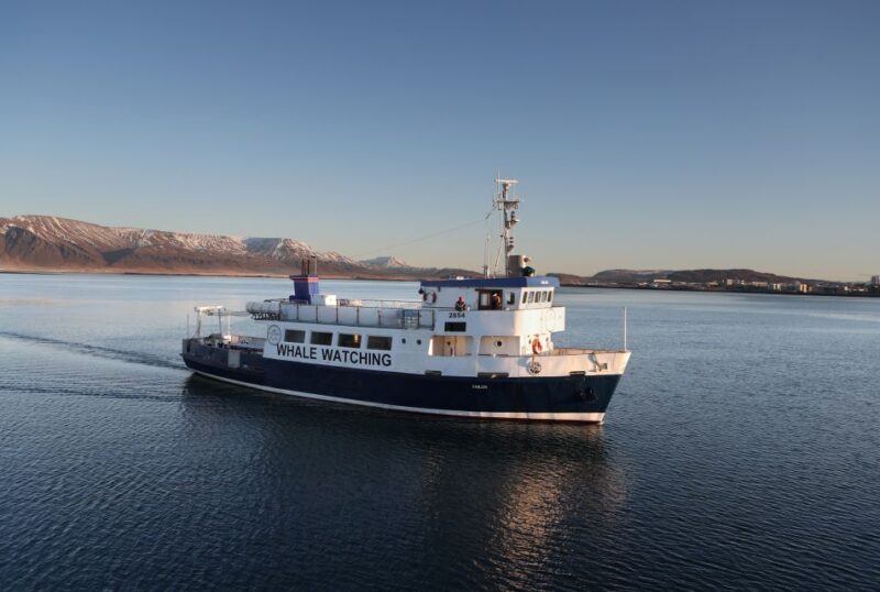 From Reykjavik: New Years Fireworks by Boat - Unique Boat Experience for New Year’s Celebrations in Reykjavik