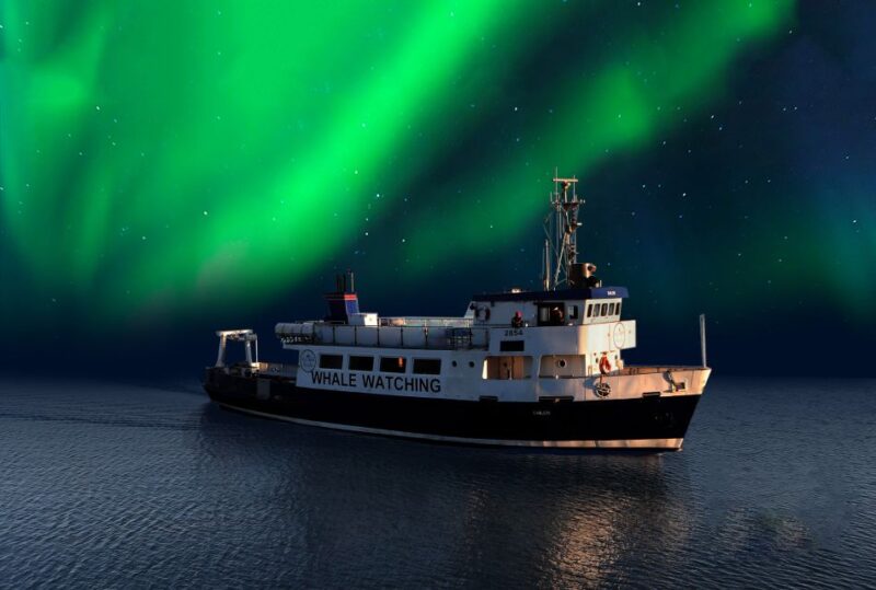 From Reykjavik: Northern Lights Sightseeing Cruise - Discover the Reykjavik Northern Lights Sightseeing Cruise for $102