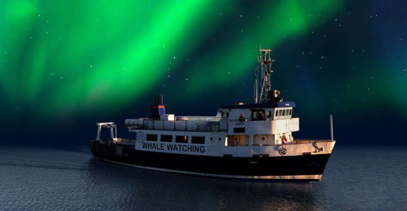 From Reykjavik: Northern Lights Sightseeing Cruise - Key Points