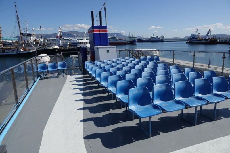 From Reykjavik: Northern Lights Sightseeing Cruise - The Guide’s Role in Aurora Hunting