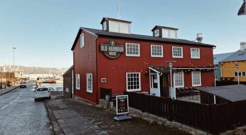 From Reykjavik: Northern Lights Sightseeing Cruise - The Experience of Waiting in Icelandic Nature