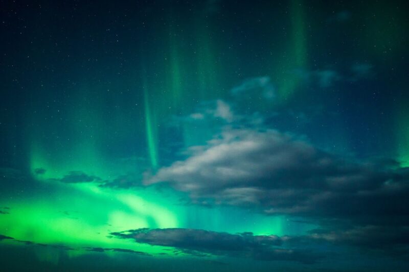 From Reykjavik: Northern Lights Tour - The Experience of Waiting for the Aurora