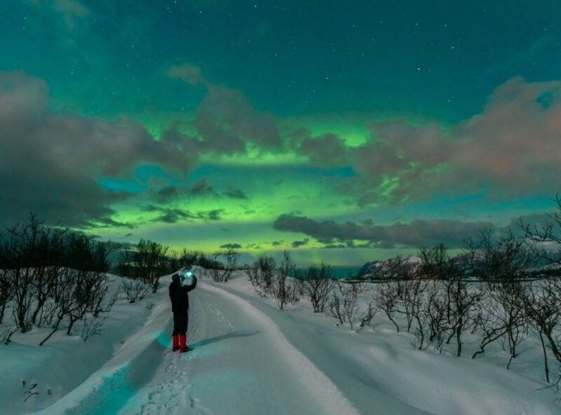 From Reykjavik: Northern Lights Tour - Pricing, Inclusions, and What You Pay For