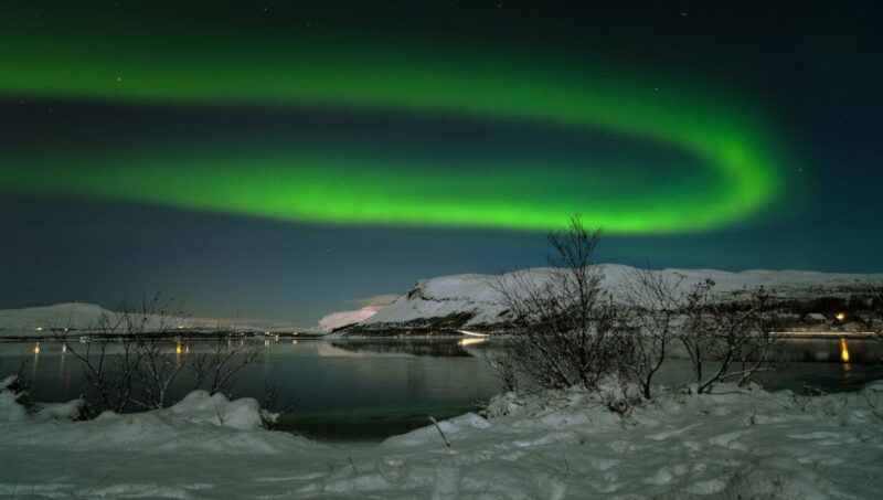 From Reykjavik: Northern Lights Tour with Lifetime Guarantee - How the Guide Enhances the Experience