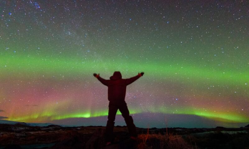 From Reykjavik: Northern Lights Tour with Lifetime Guarantee - Who Should Consider This Tour
