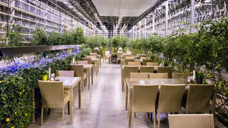 From Reykjavik: Private Golden Circle Iceland Day Tour - Optional Relaxation at Secret Lagoon: Iceland’s Oldest Hot Spring