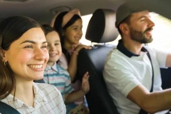 From Reykjavik: Private Transfer to KEF Airport in Iceland - Meeting Point at Keflavik International Airport