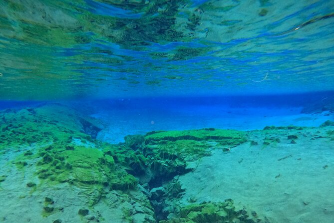 From Reykjavik- Silfra Snorkeling transfer included - Group Size and Personal Experience