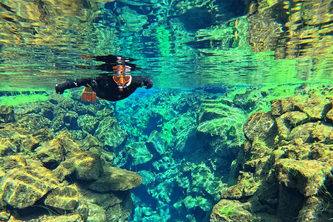 From Reykjavik- Silfra Snorkeling transfer included - Accessibility and Physical Requirements