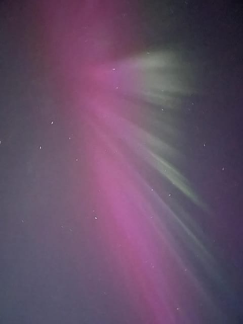 From Reykjavik: Small Group Northern Lights Tour - The Guides Role in Northern Lights Hunting