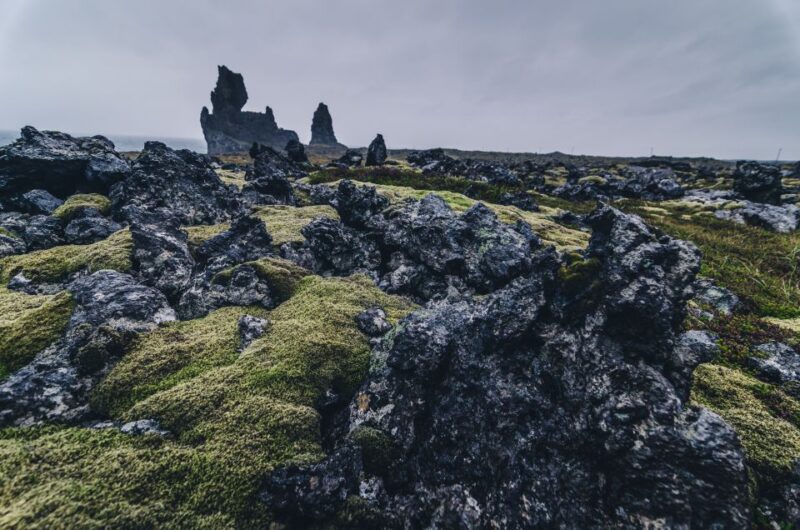 From Reykjavik: Snæfellsnes Full-Day Tour with Homemade Meal - Ytri Tunga Beach and Seal Watching