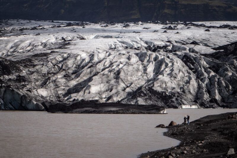 From Reykjavík: South Coast Highlights Day Tour - The Majestic Seljalandsfoss Revisited or Additional Stops