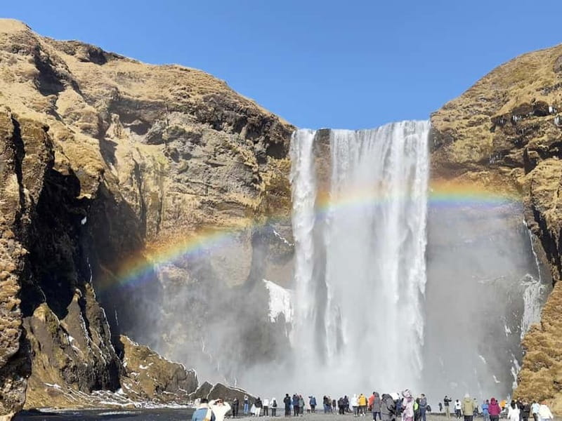 From Reykjavík: South Coast or Diamond Beach - Key Points