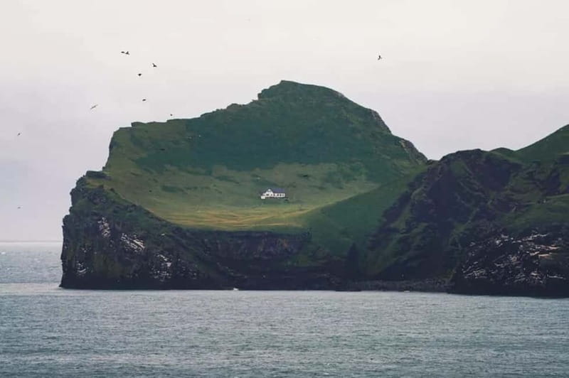 From Reykjavik: Vestmannaeyjar Islands Day Trip - Key Points