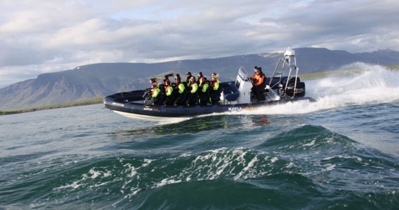 From Reykjavik: Whale Watching Tour by Speedboat - Practical Gear and Preparation