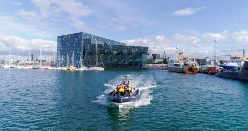 From Reykjavik: Whale Watching Tour by Speedboat - Frequently Asked Questions