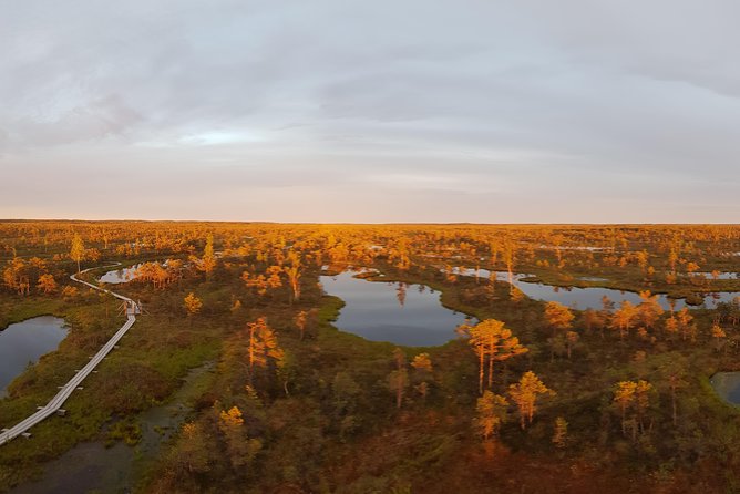 From Riga: Best of Kemeri National Park In One Day - Lake Kanieris and Bird Watching Highlights