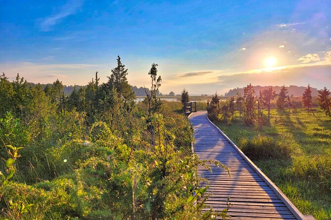 From Riga: Best of Kemeri National Park In One Day - The Great Kemeri Bog Boardwalk Experience