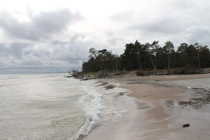 From Riga: Budget Day Trip to Kolka in Zen style! - Bird Watching in Latvia’s National Nature Park