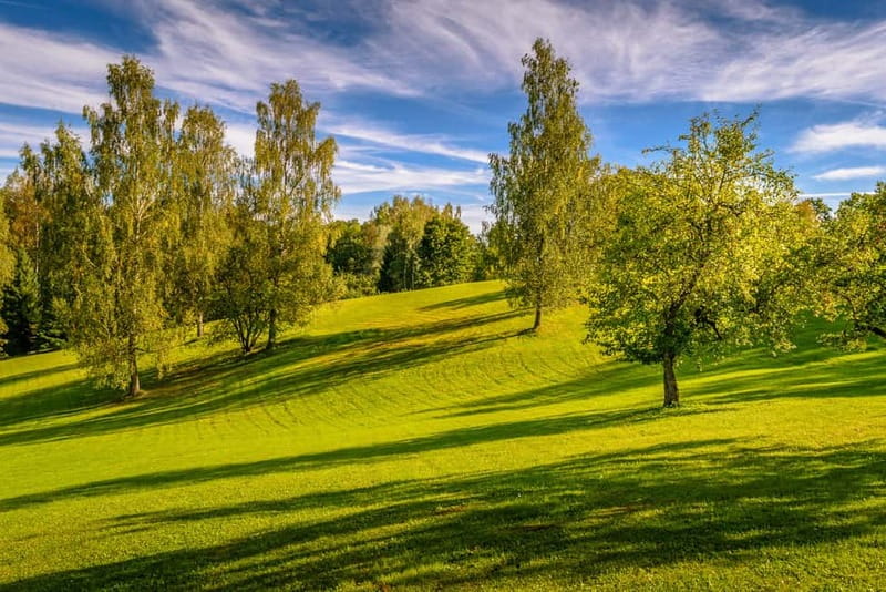 From Riga: Csis, Sigulda & Turaida Castle Tour - Turaida Museum Reserve: Latvia’s "Garden of the Gods"