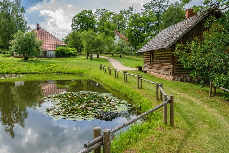 From Riga: Csis, Sigulda & Turaida Castle Tour - Experience Level and Best Suitability