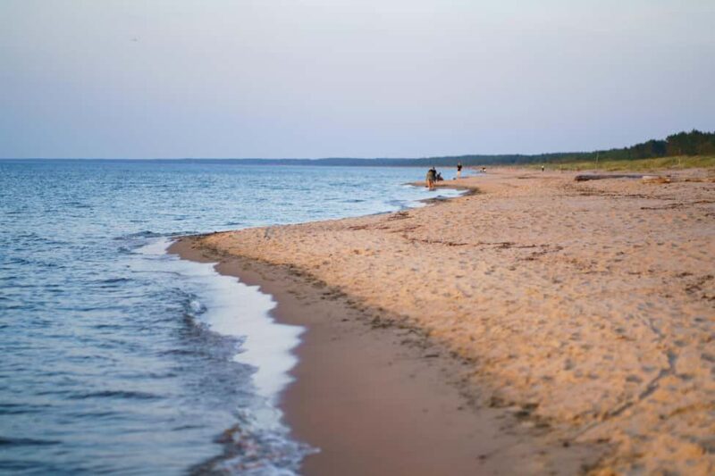 From Riga: Explore Latvian Nature With a Local Photographer - Discover Latvian Nature Through Personalized Walks