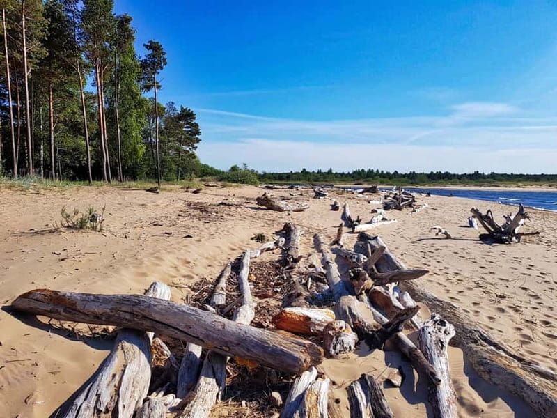 From Riga: Four Natural Ecosystems In One Hike - What Sets This Tour Apart from Other Latvia Nature Tours