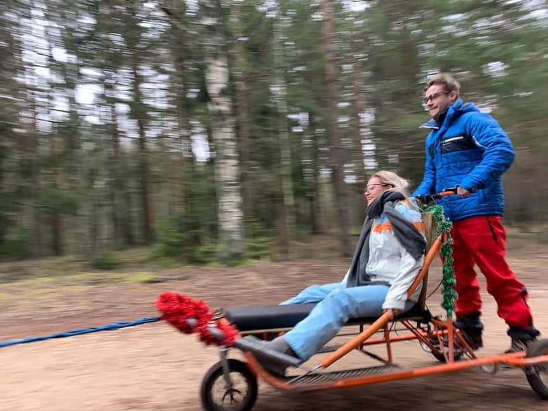 From Riga: Husky Sledding or Wheel Kart Tour - Forest Walk and Observation Tower Highlights