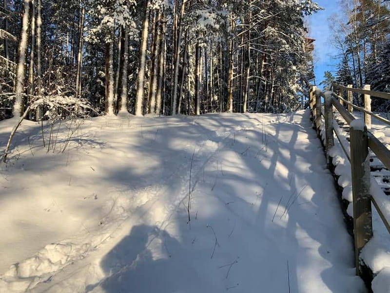 From Riga: Husky Sledding or Wheel Kart Tour - Booking and Flexibility