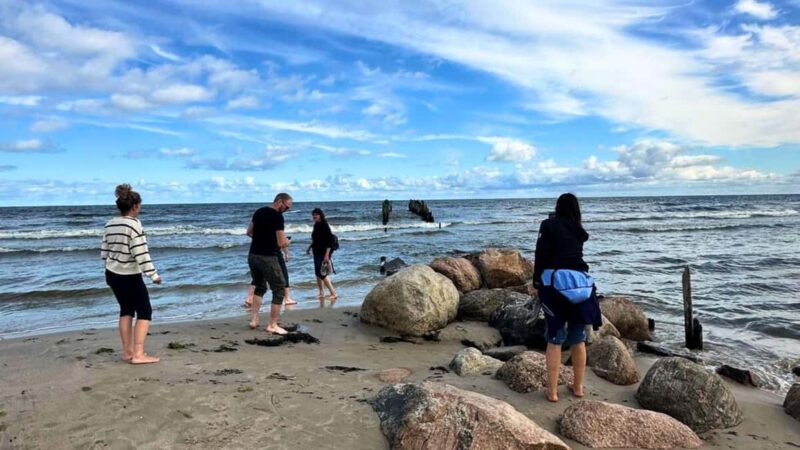 From Riga: Jurmala & Kemeri Tour + Picnic - Practical Details: Logistics and Group Size
